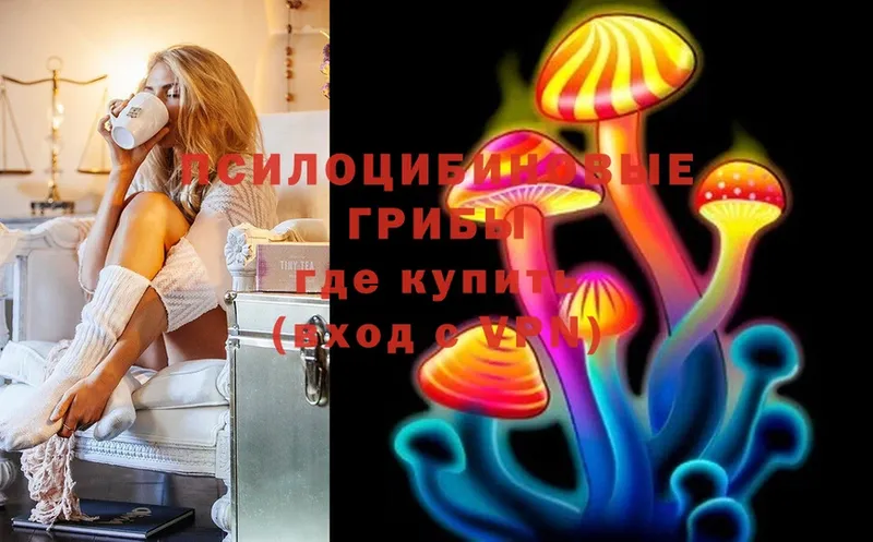 Псилоцибиновые грибы Magic Shrooms  Выборг 